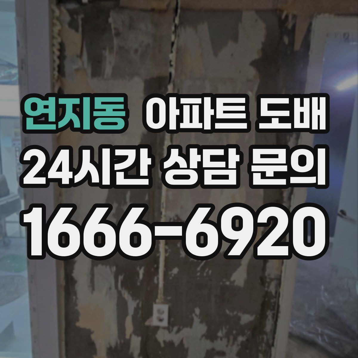 연지동 아파트 도배