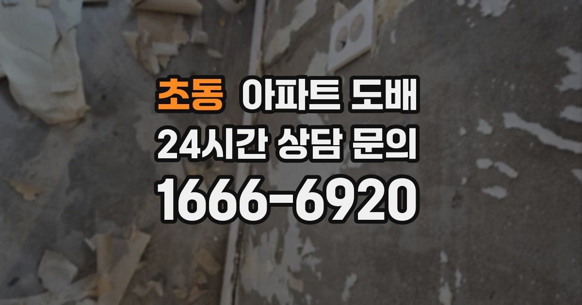 초동 아파트 도배