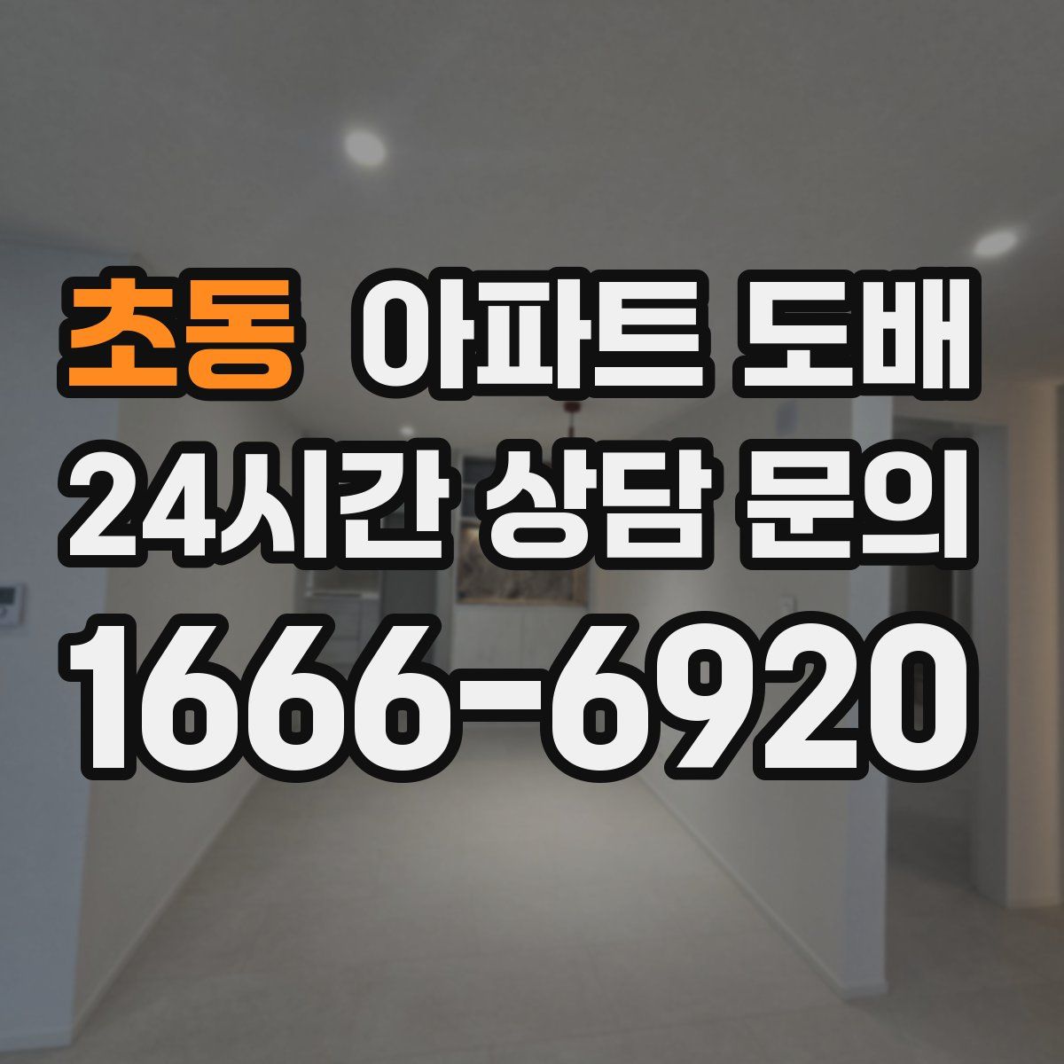 초동 아파트 도배