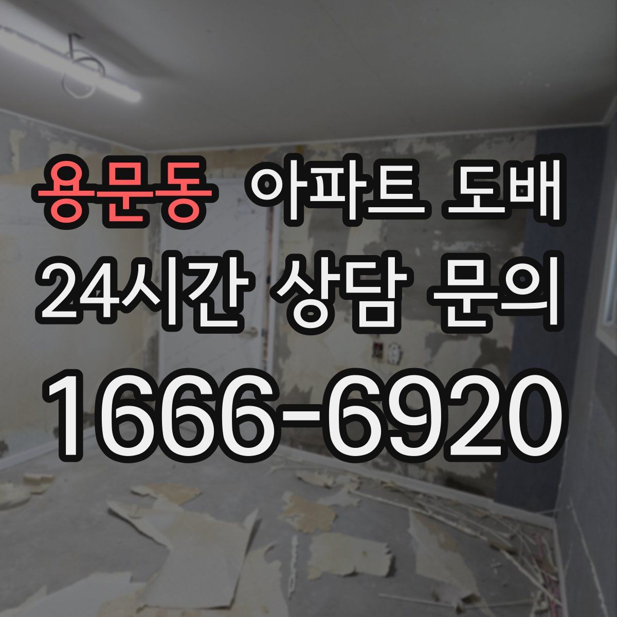 용문동 아파트 도배