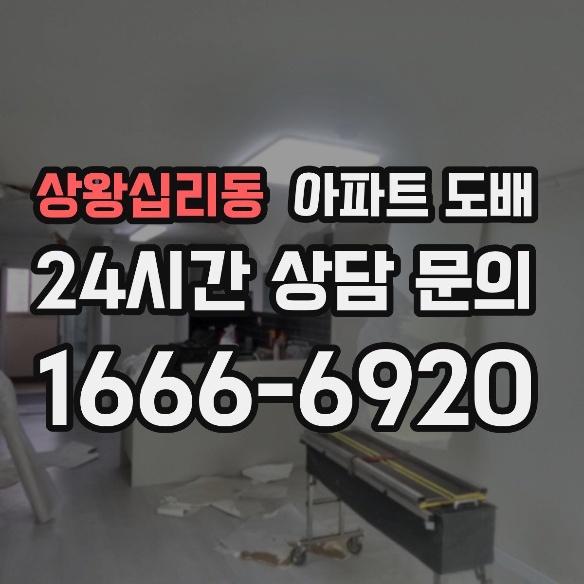 상왕십리동 아파트 도배