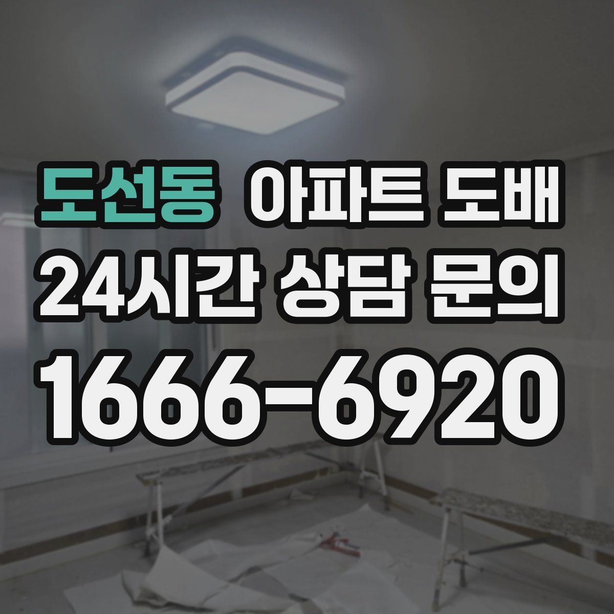 도선동 아파트 도배