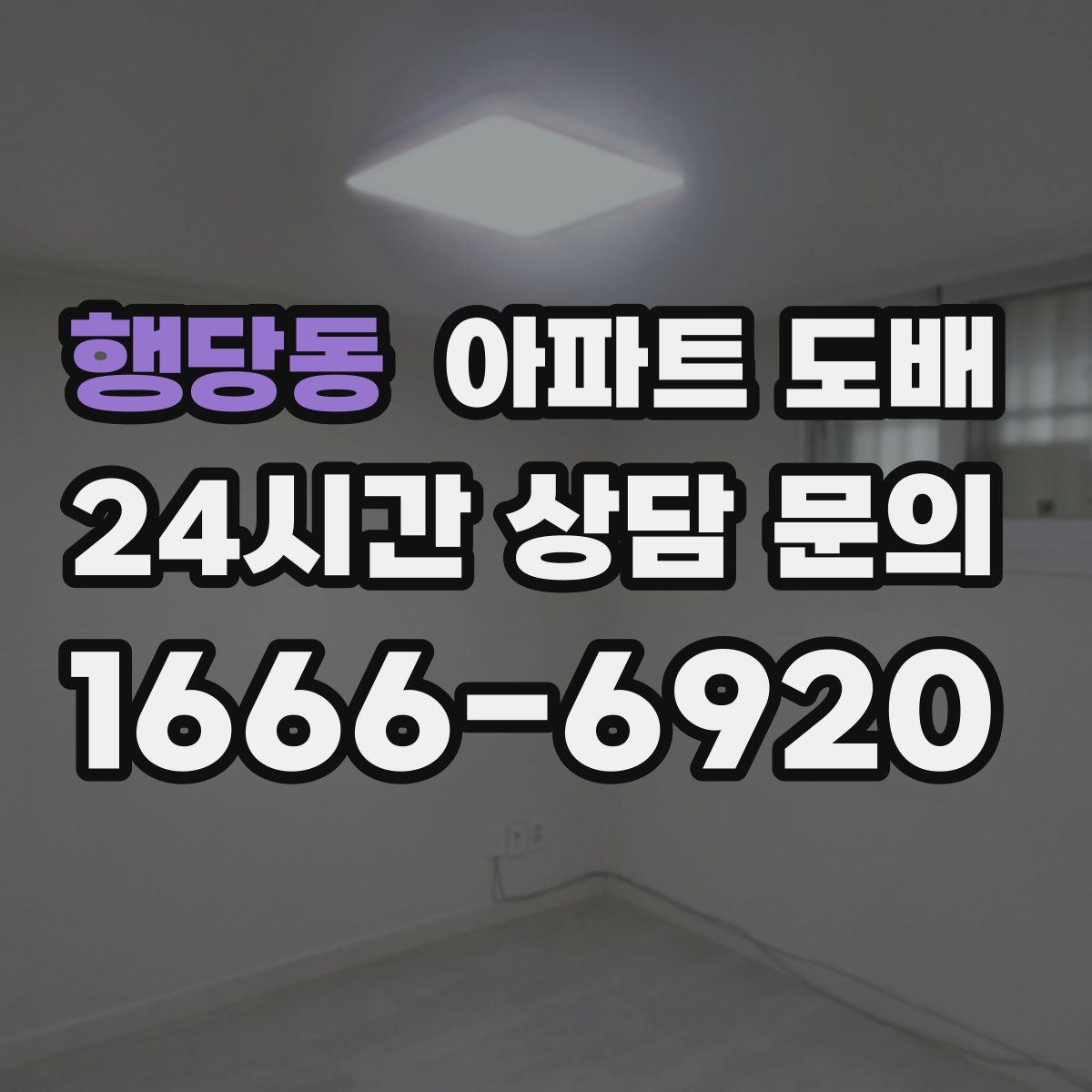 행당동 아파트 도배