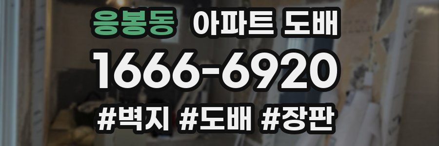 응봉동 아파트 도배