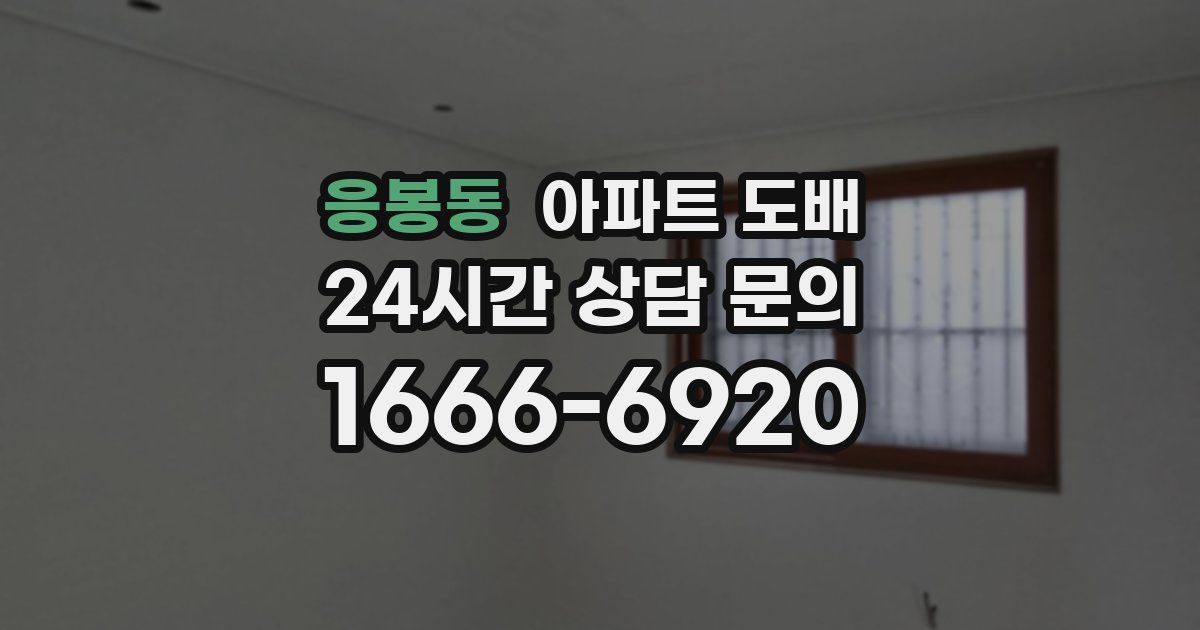 응봉동 아파트 도배