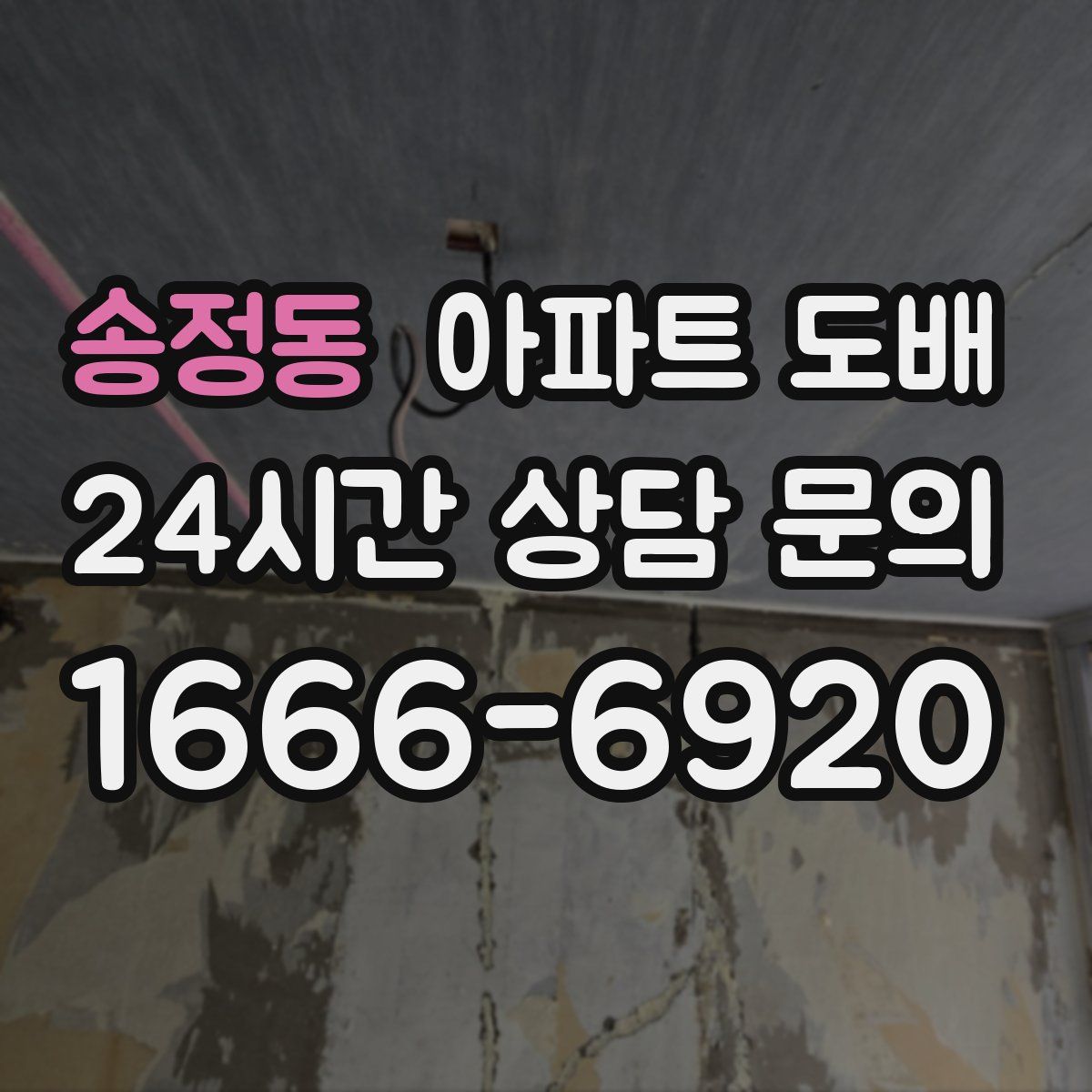 송정동 아파트 도배