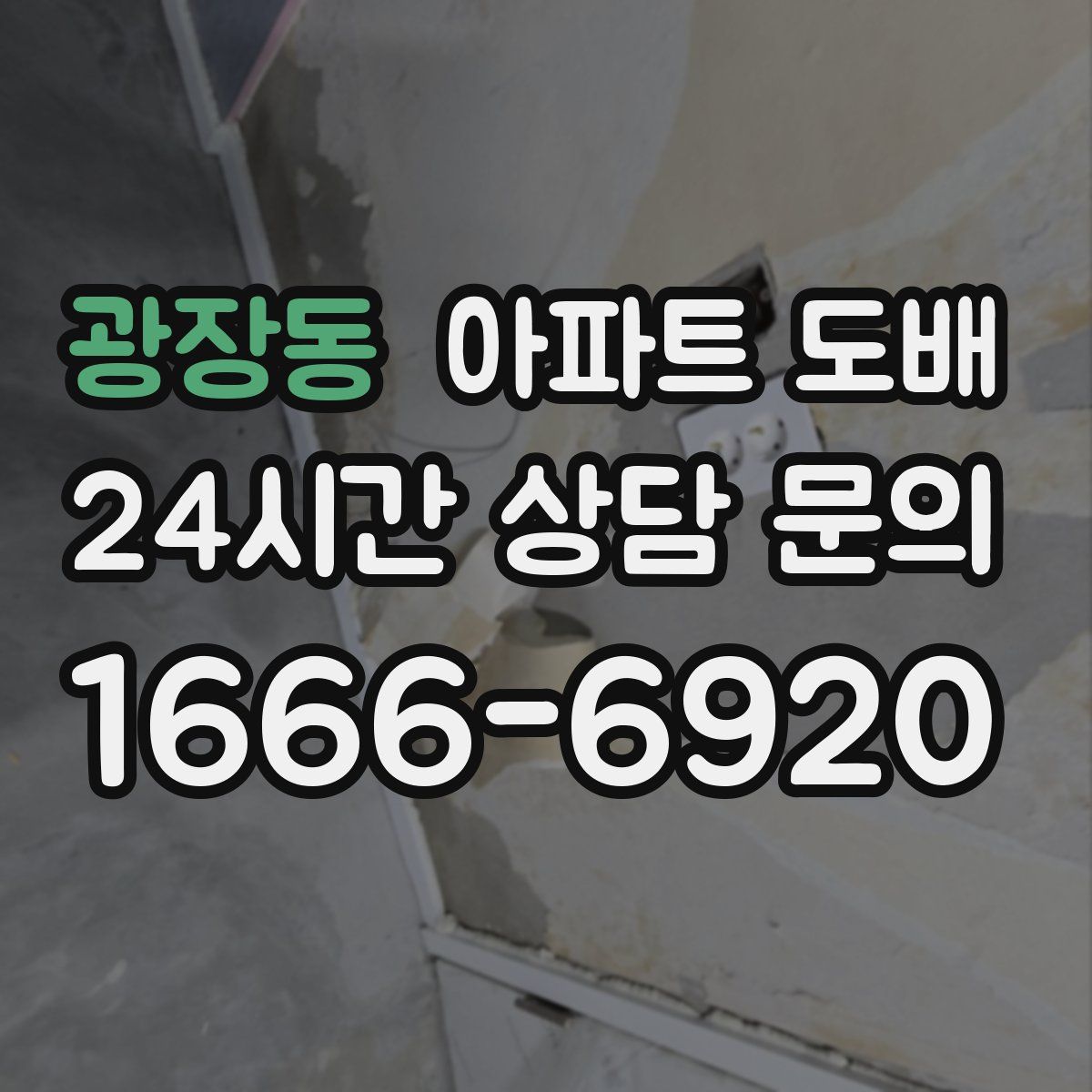 광장동 아파트 도배