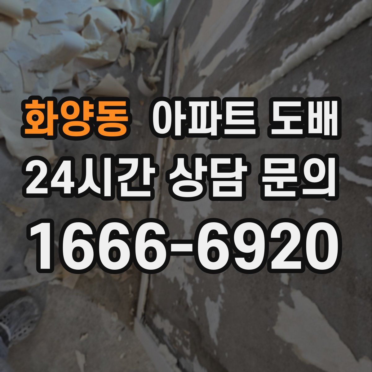 화양동 아파트 도배