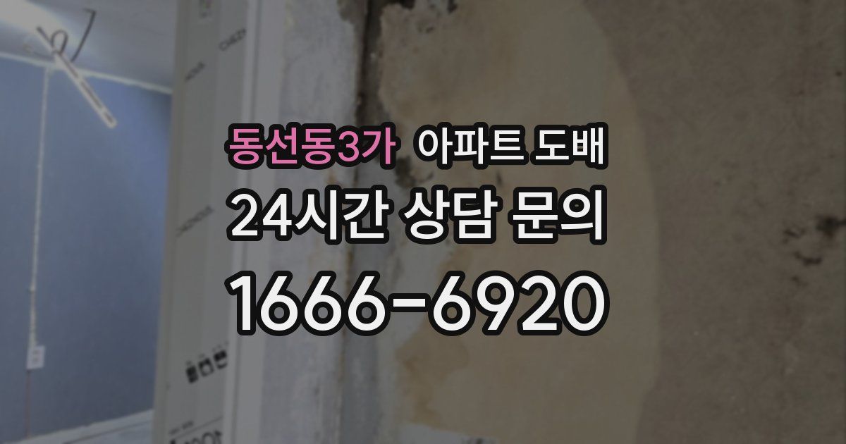 동선동3가 아파트 도배