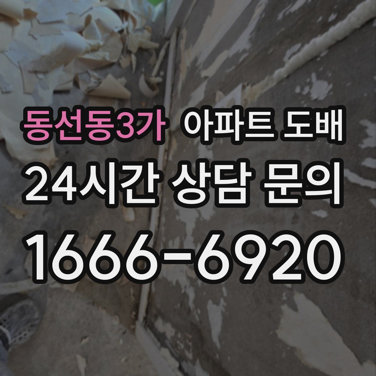 동선동3가 아파트 도배