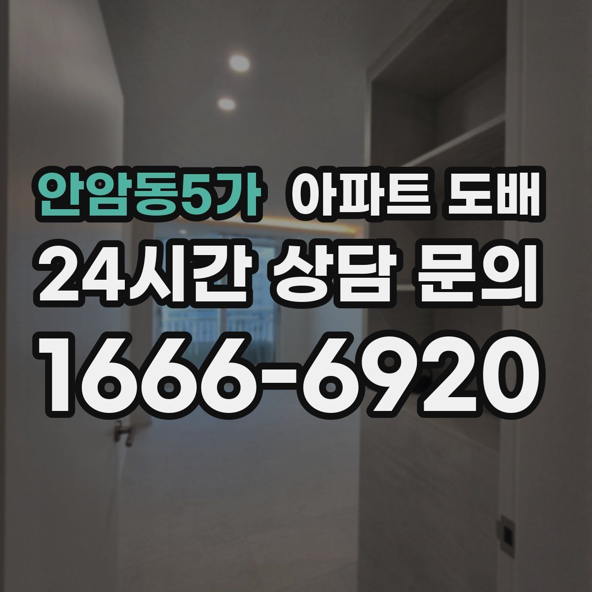 안암동5가 아파트 도배