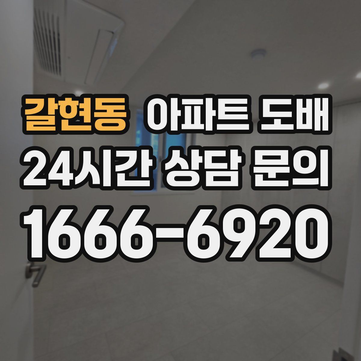갈현동 아파트 도배