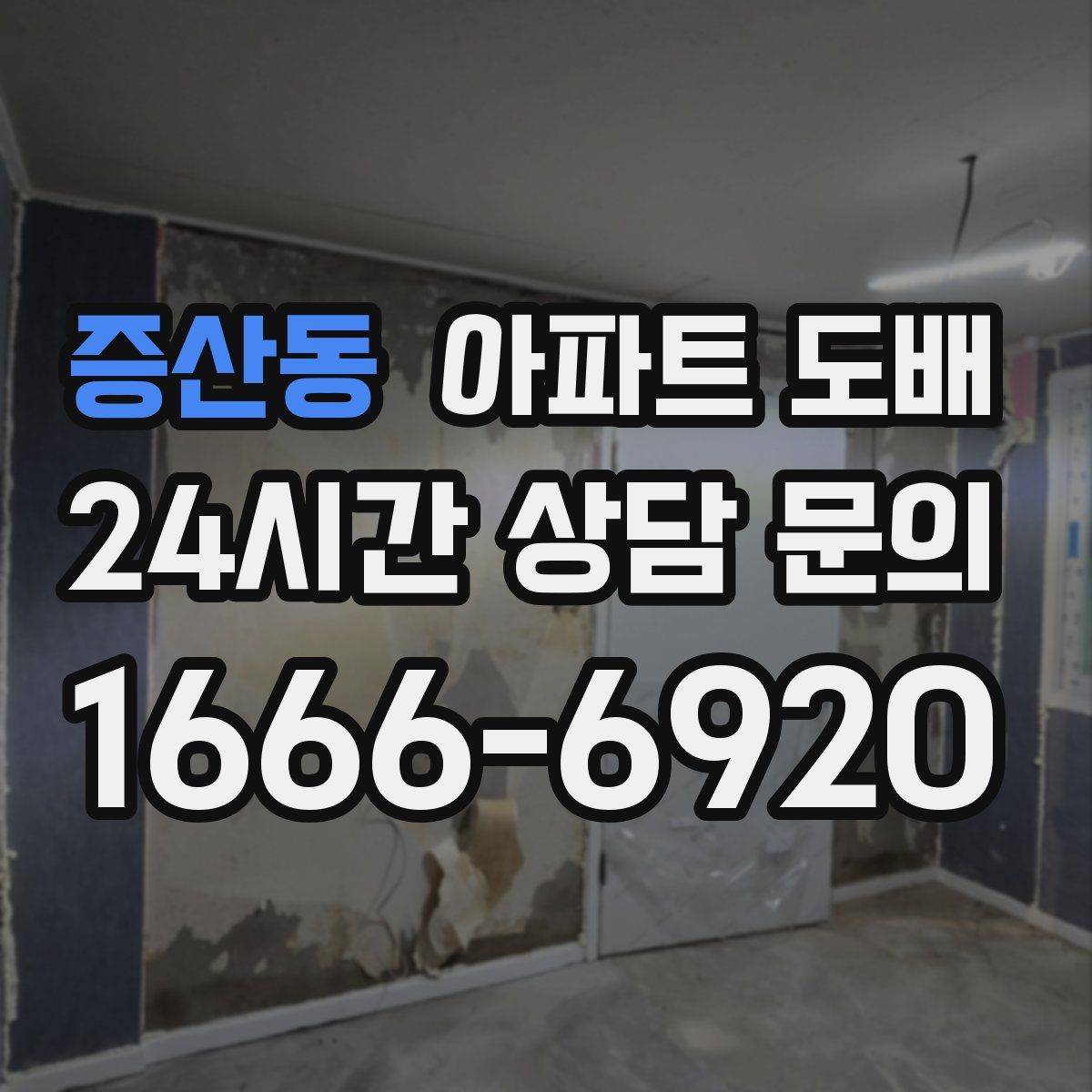 증산동 아파트 도배