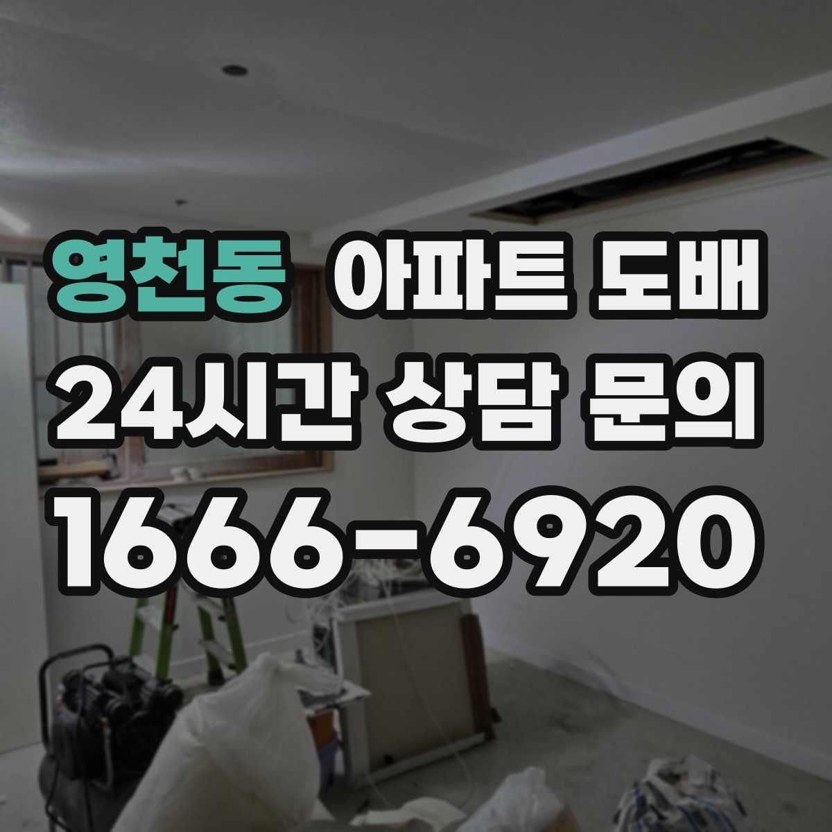 영천동 아파트 도배