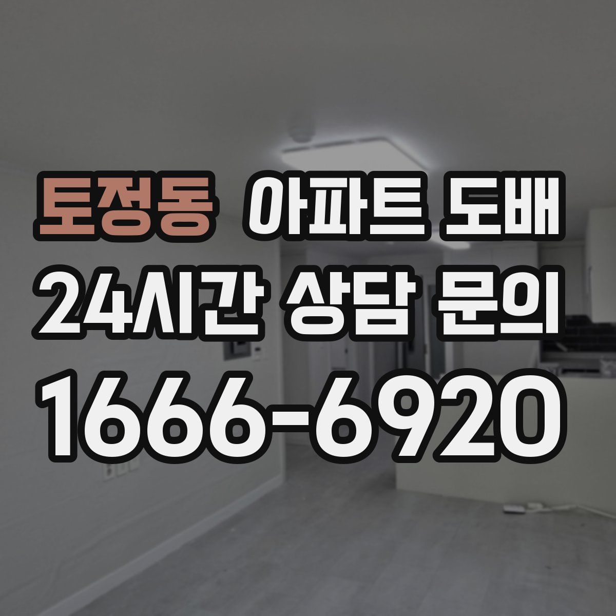 토정동 아파트 도배