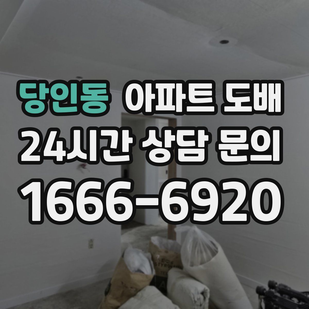 당인동 아파트 도배