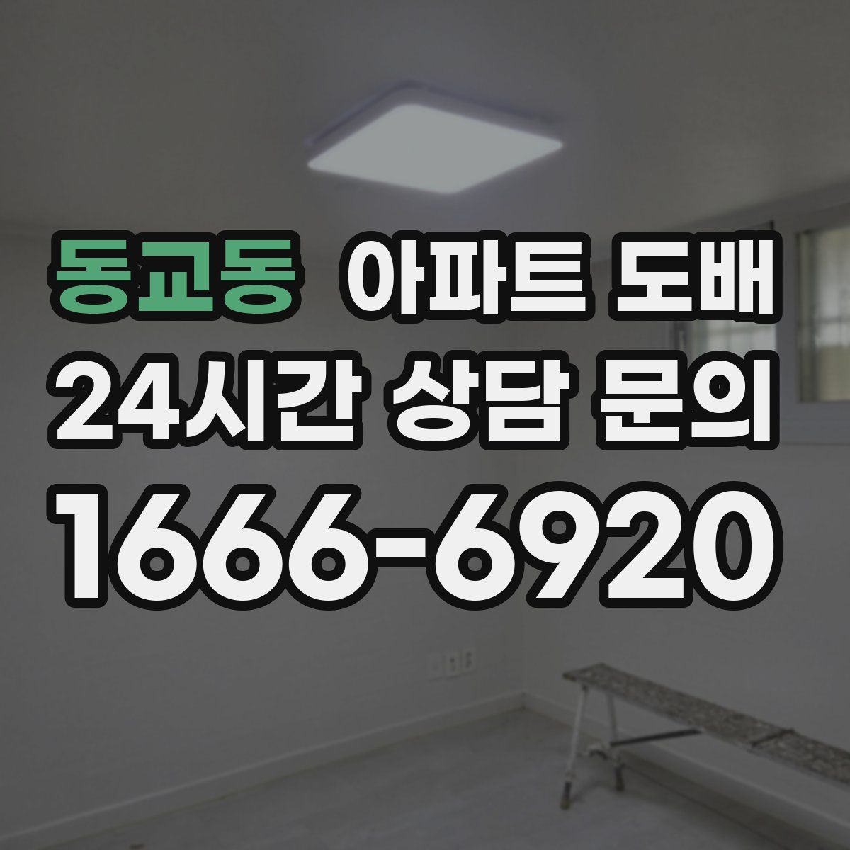 동교동 아파트 도배