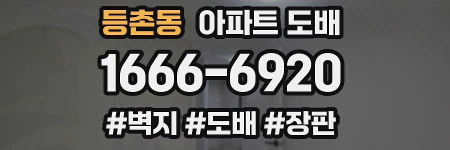 등촌동 아파트 도배