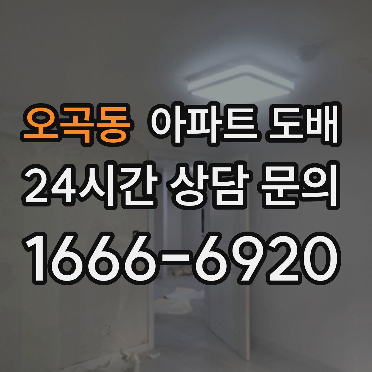 오곡동 아파트 도배