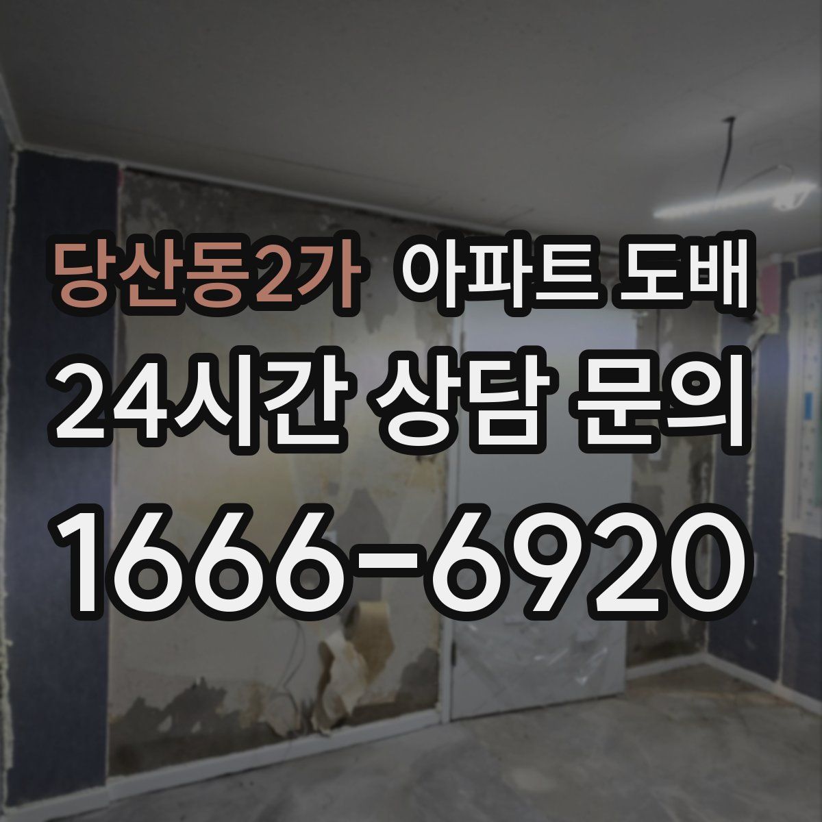 당산동2가 아파트 도배
