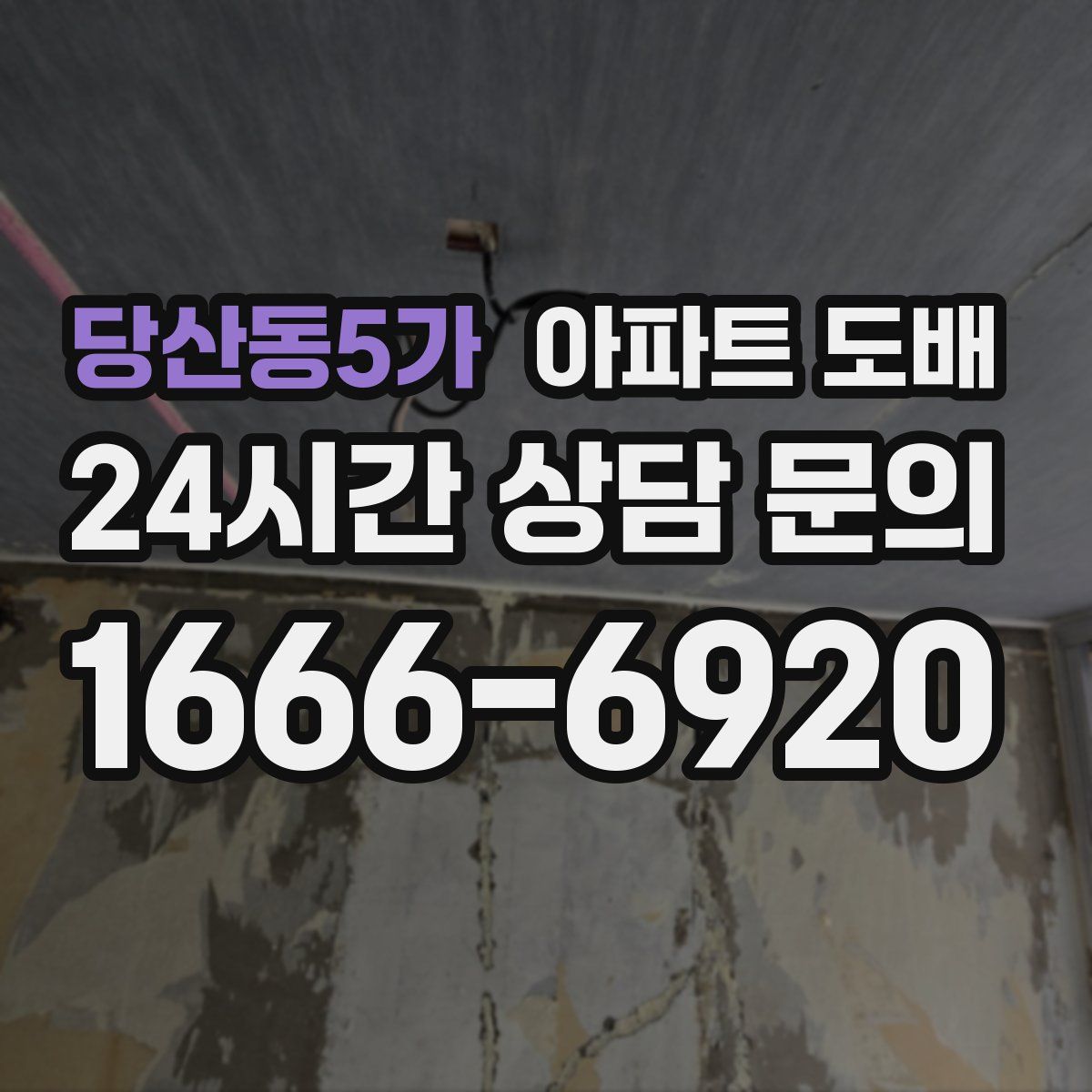 당산동5가 아파트 도배