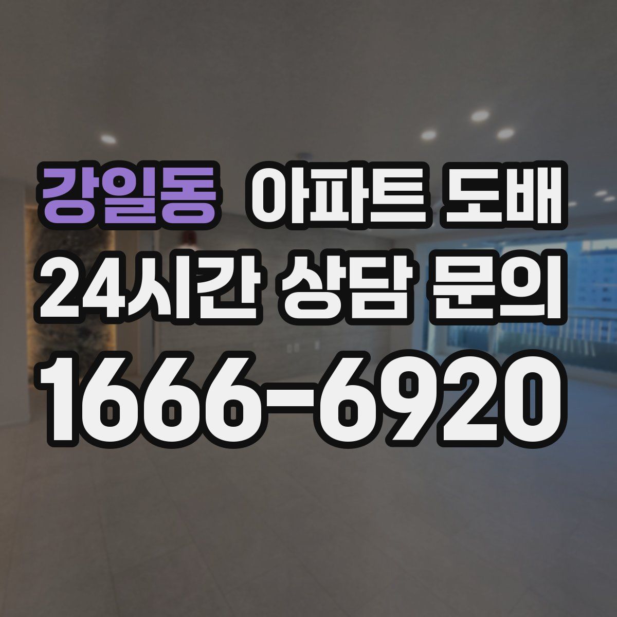 강일동 아파트 도배