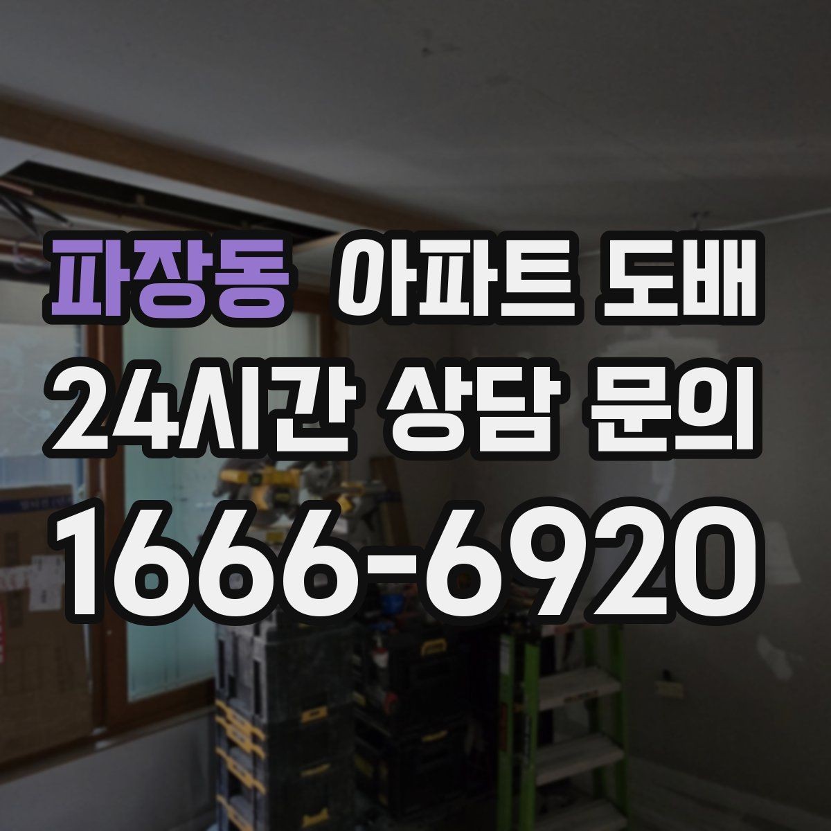 파장동 아파트 도배 반려동물과 함께 사는 집의 선택