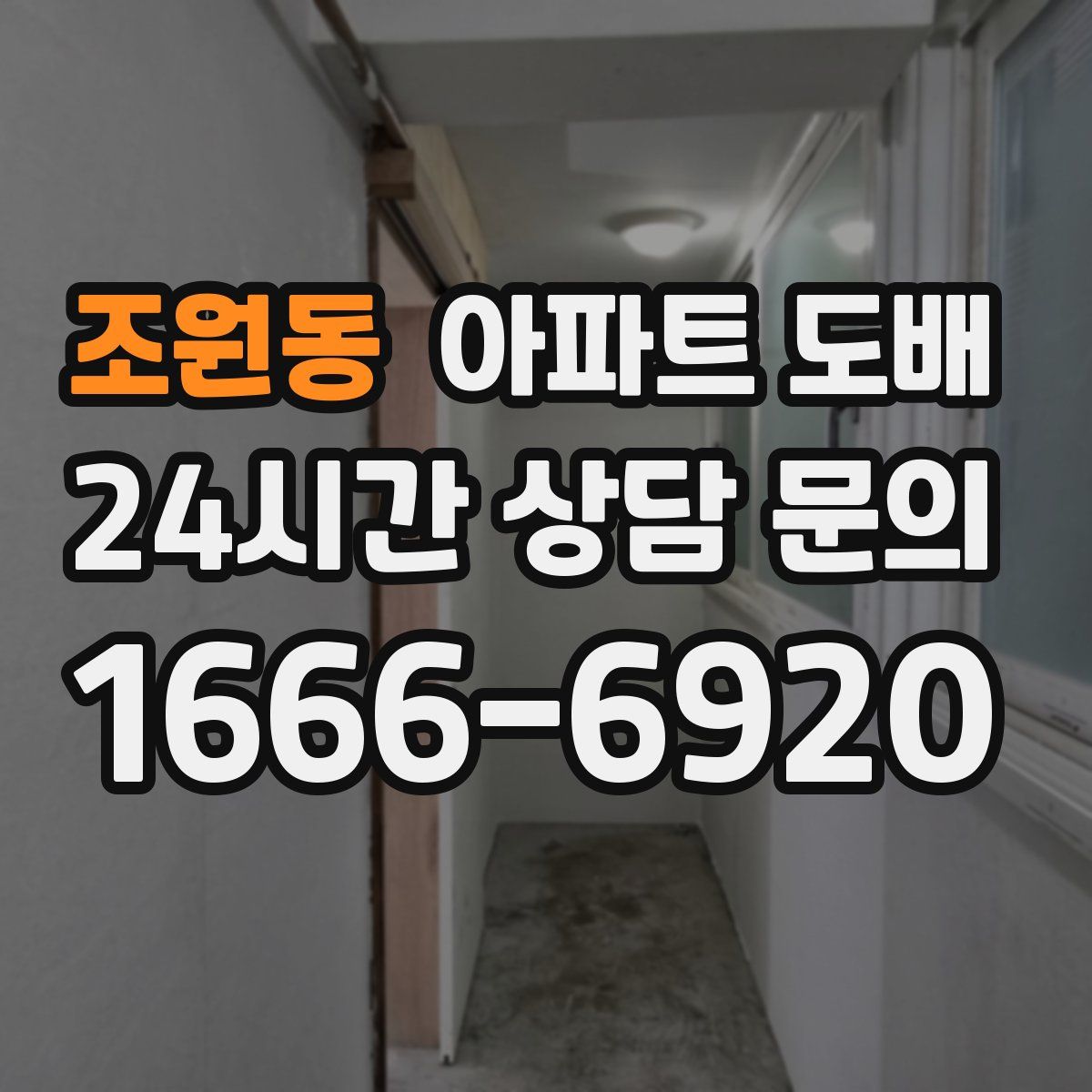 조원동 아파트 도배