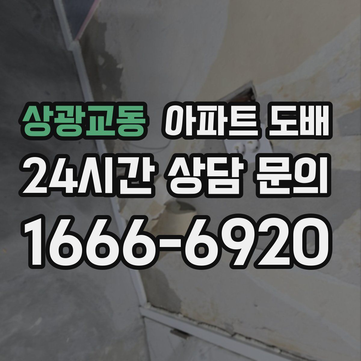 상광교동 아파트 도배