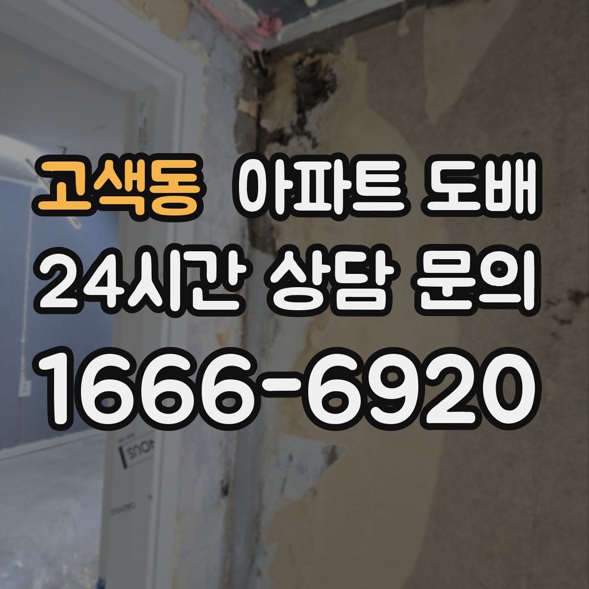 고색동 아파트 도배