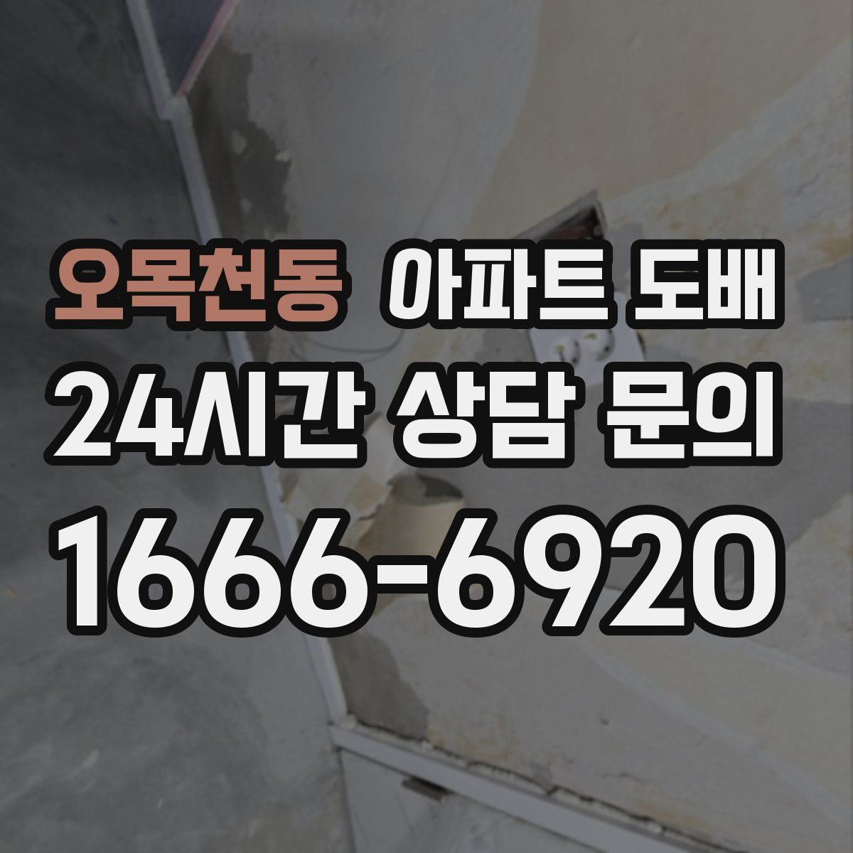 오목천동 아파트 도배
