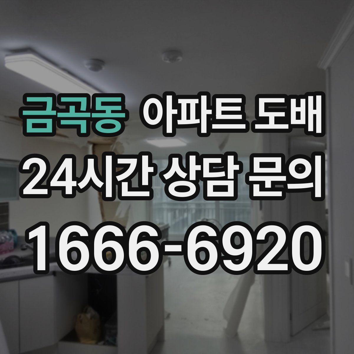 금곡동 아파트 도배