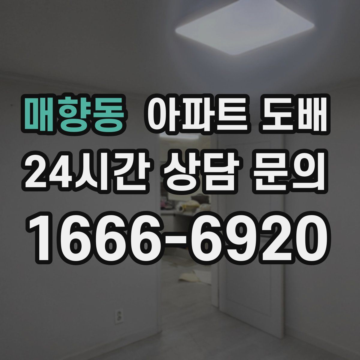 매향동 아파트 도배
