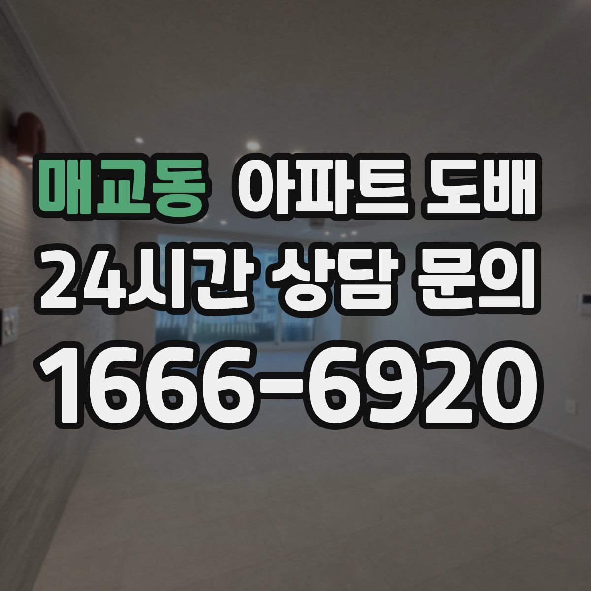 매교동 아파트 도배