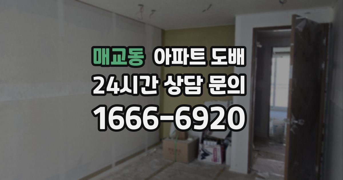 매교동 아파트 도배