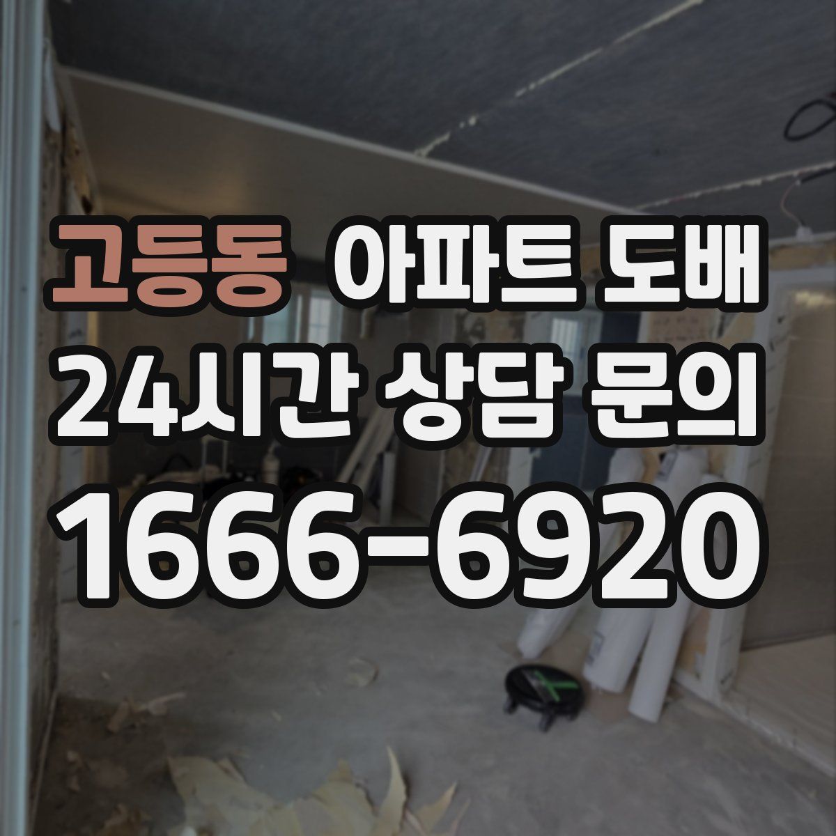 고등동 아파트 도배