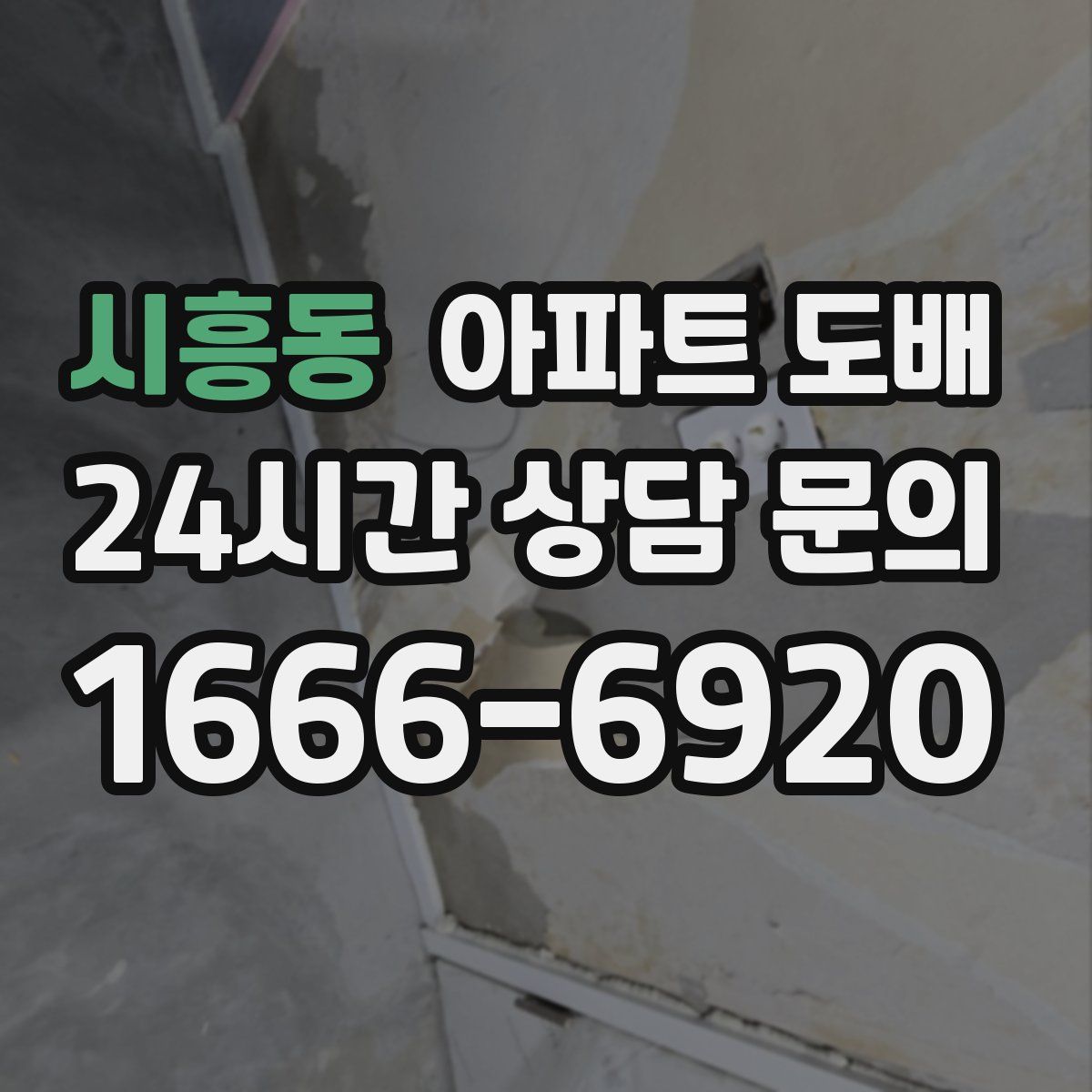 시흥동 아파트 도배