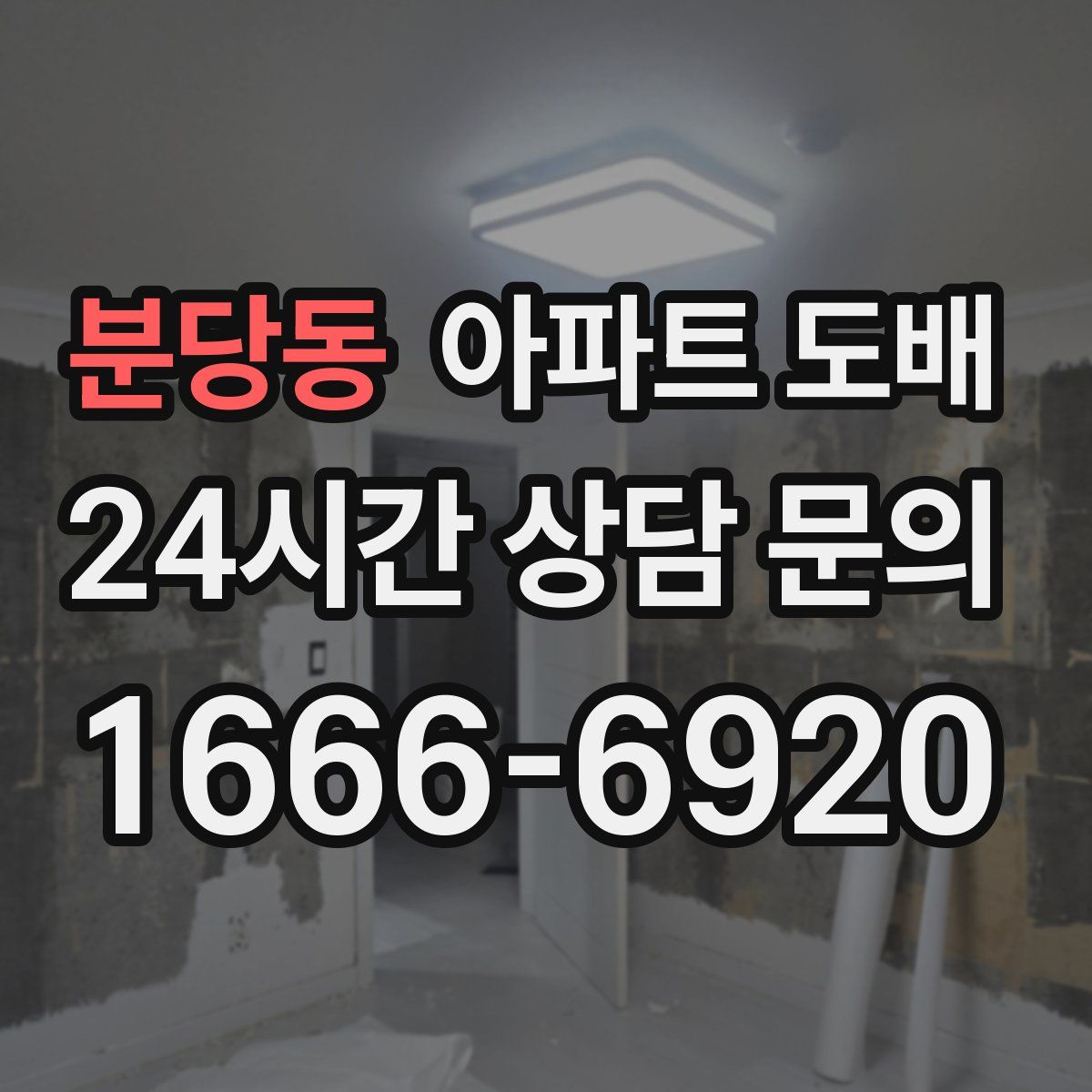 분당동 아파트 도배