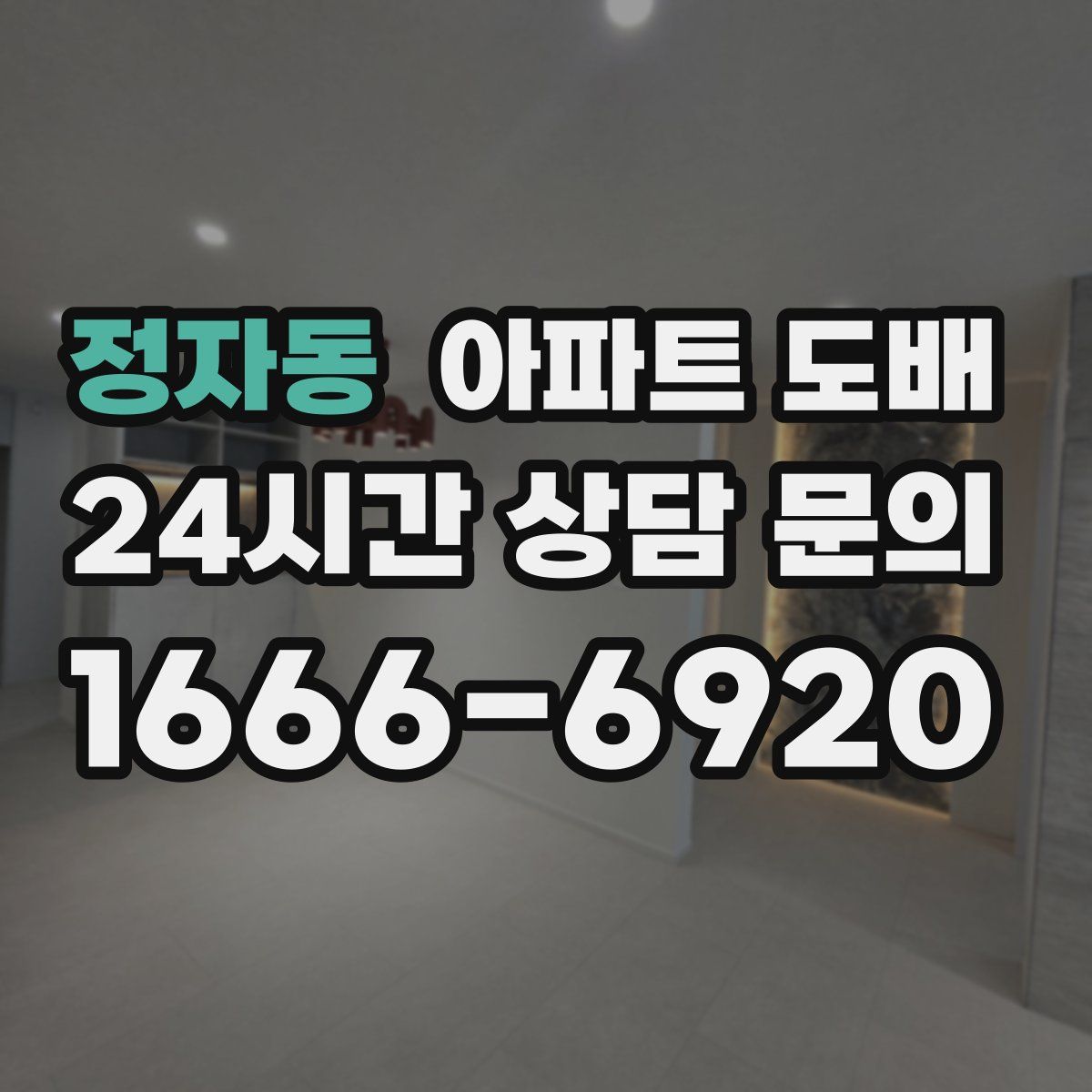 정자동 아파트 도배