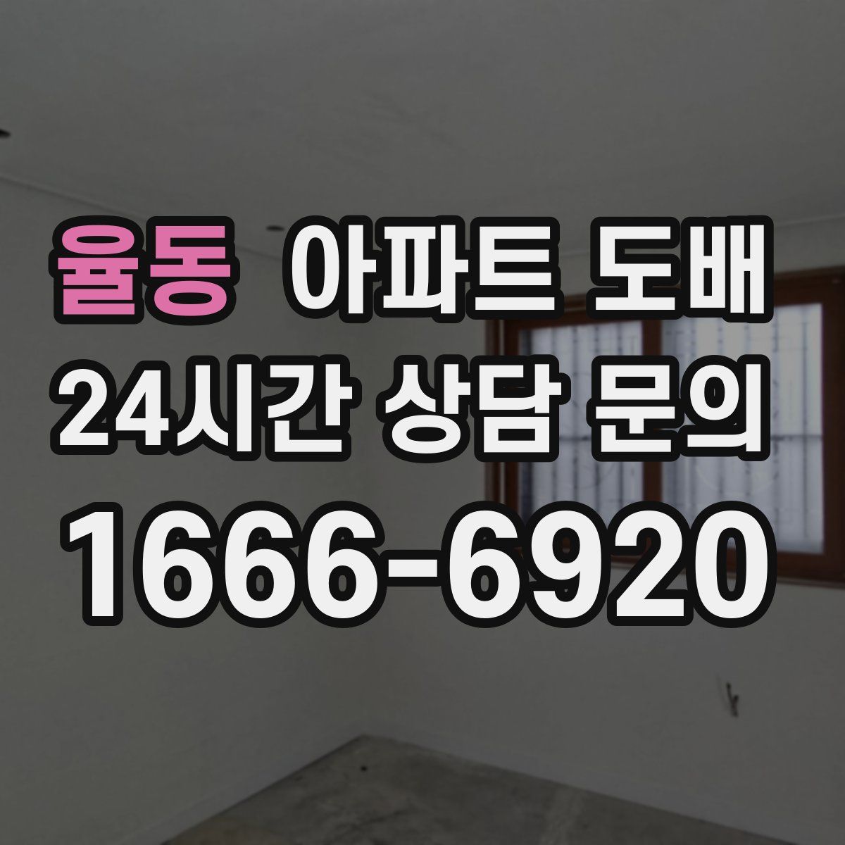 율동 아파트 도배