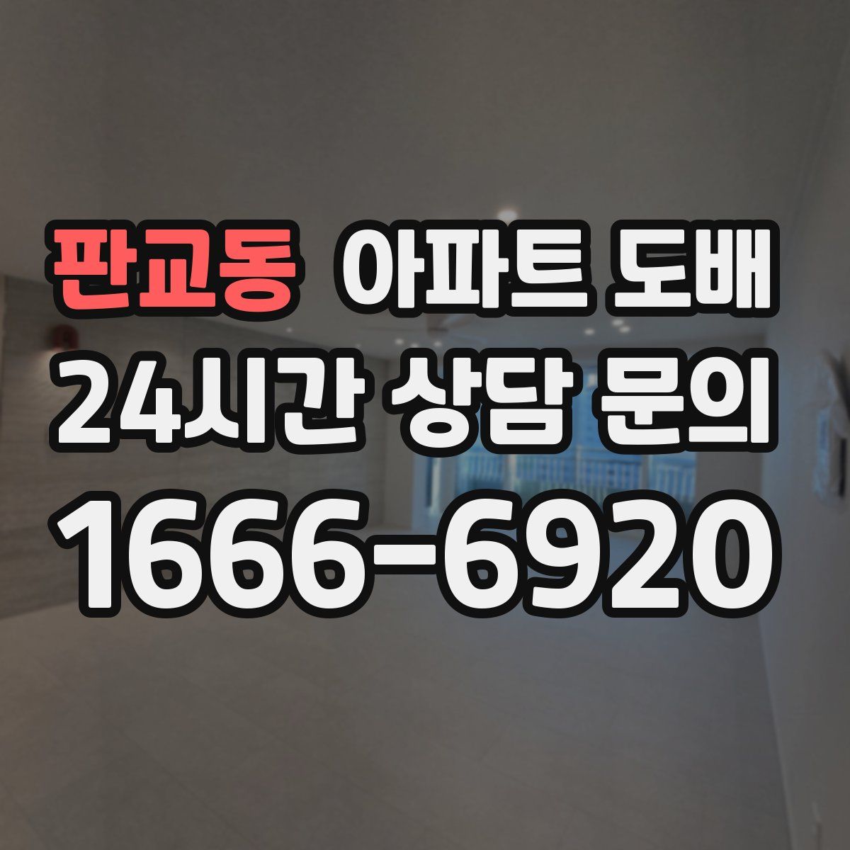 판교동 아파트 도배