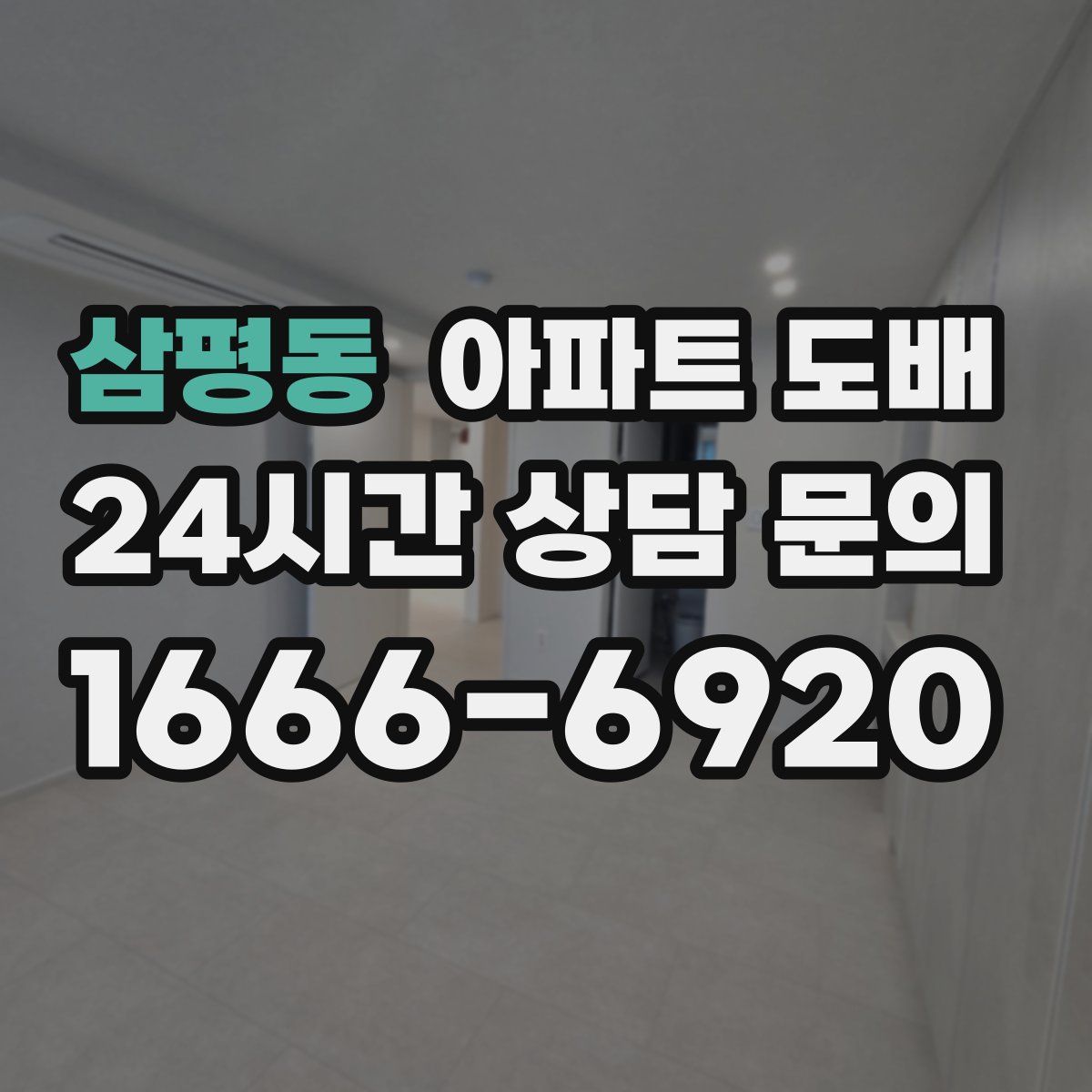 삼평동 아파트 도배