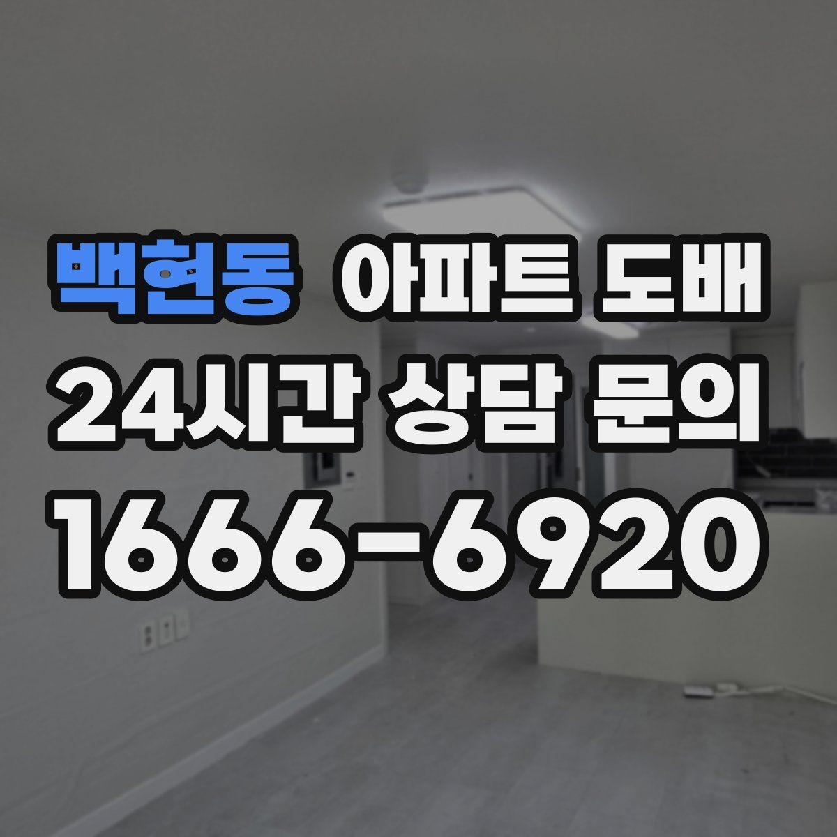 백현동 아파트 도배 비용 절감보다 중요한 선택 기준
