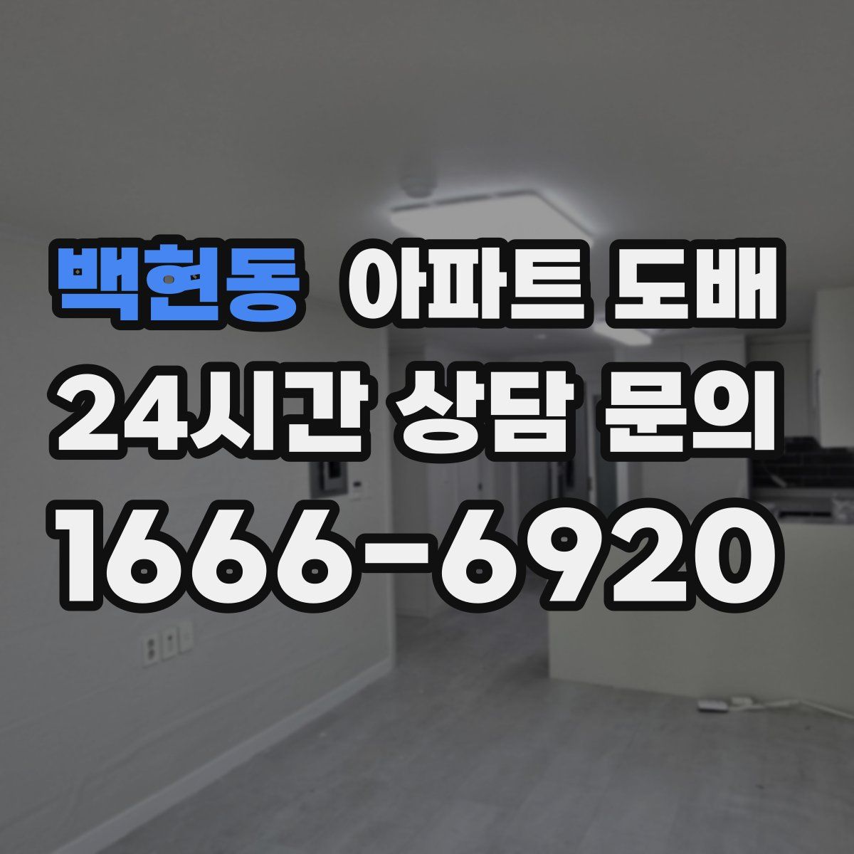 백현동 아파트 도배