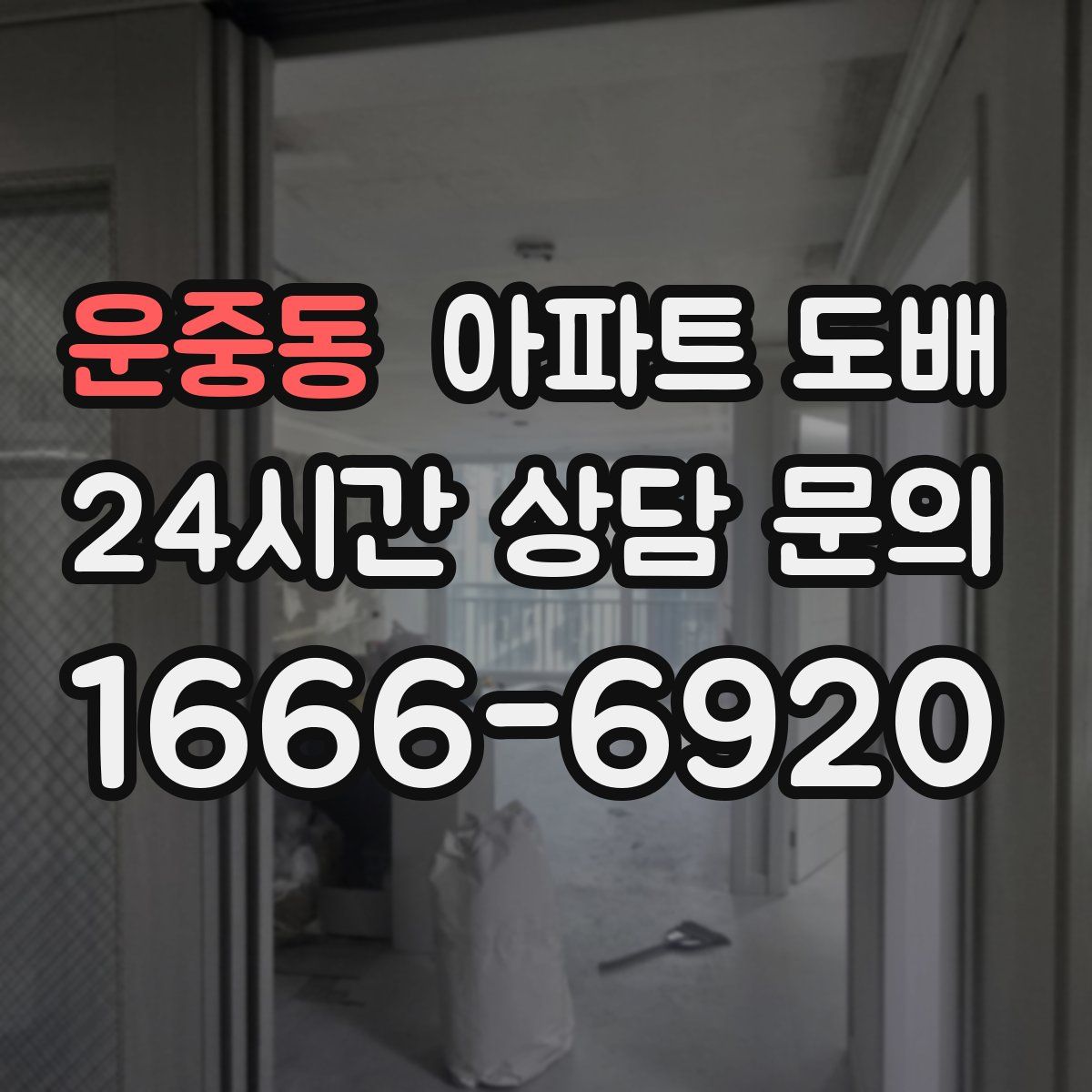 운중동 아파트 도배