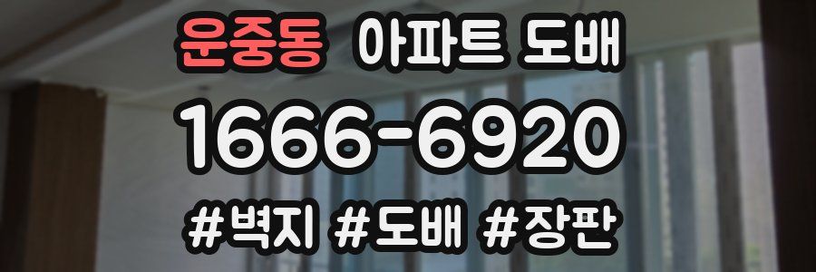 운중동 아파트 도배