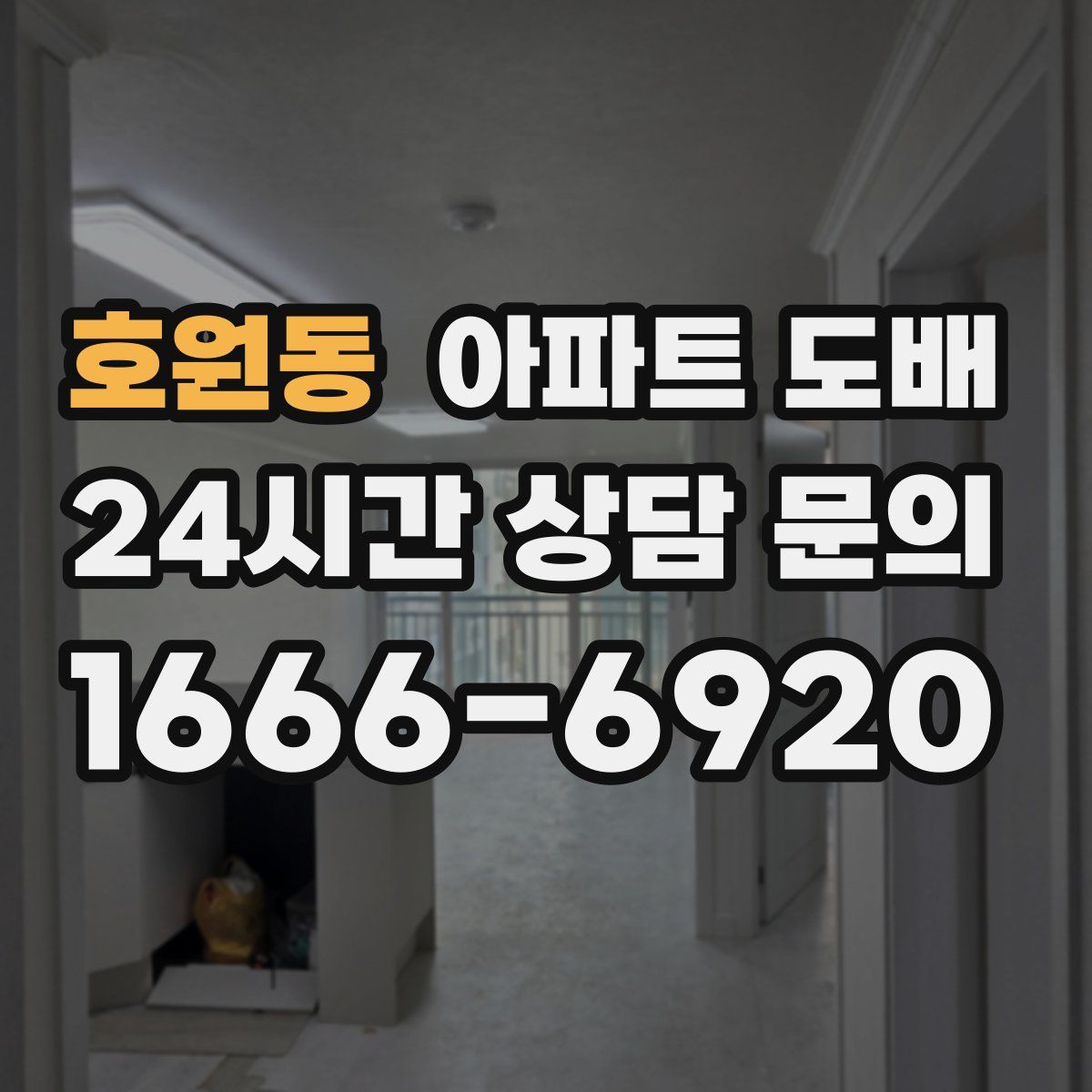 호원동 아파트 도배