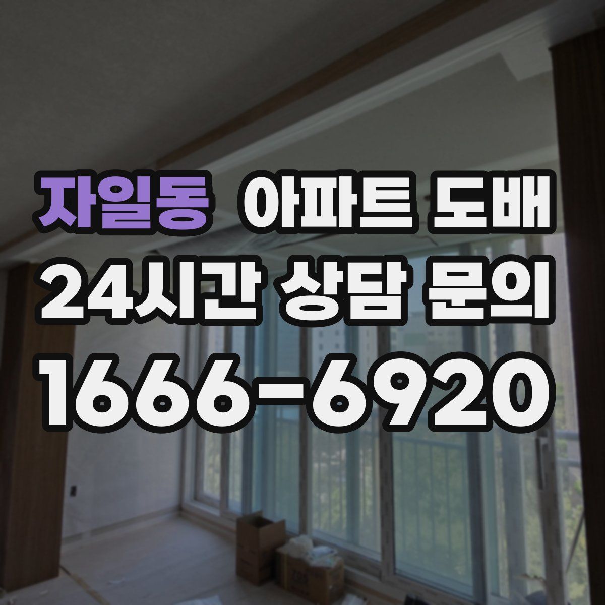 자일동 아파트 도배