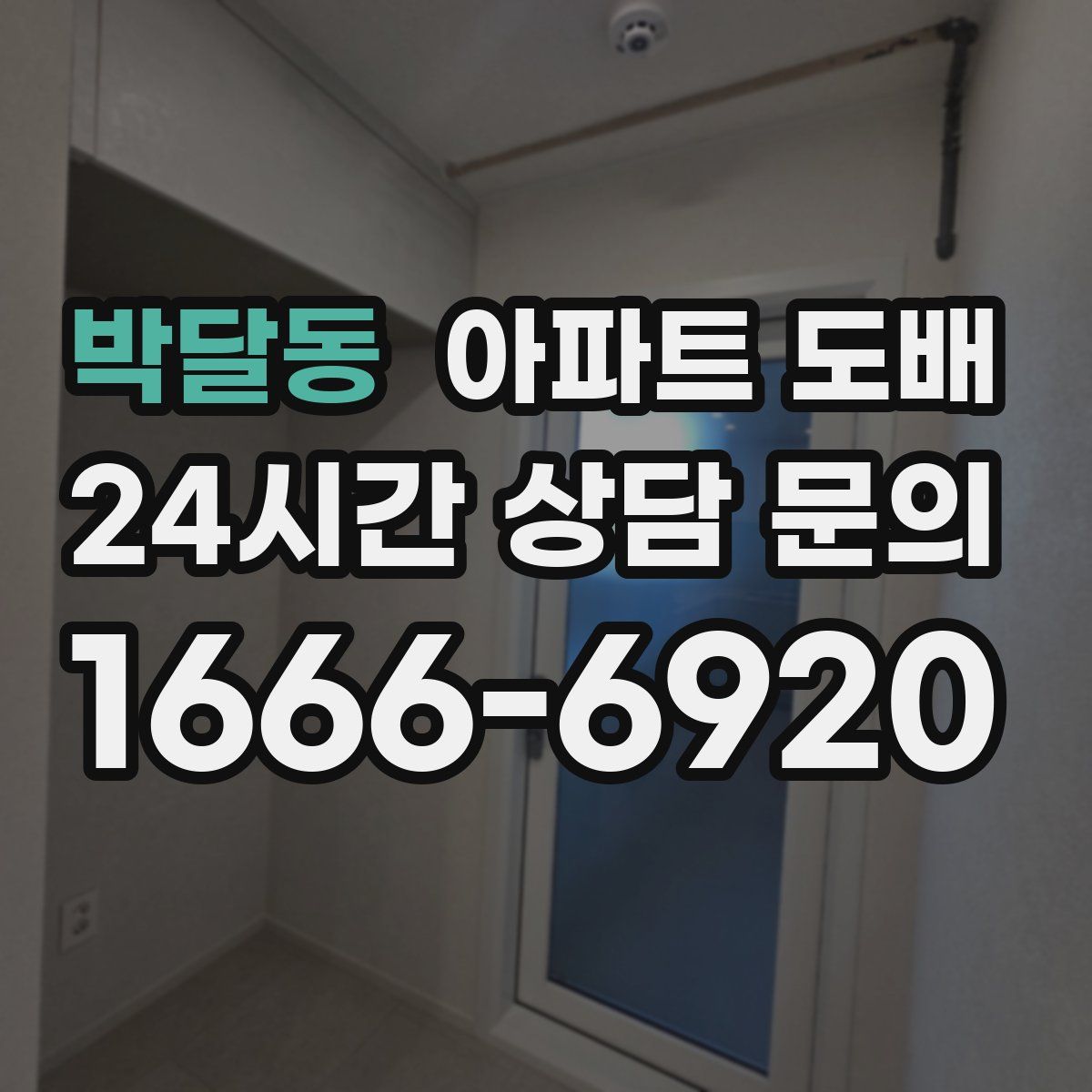 박달동 아파트 도배