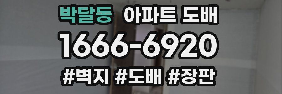박달동 아파트 도배